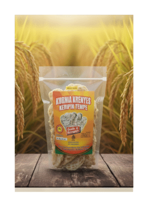 KERIPIK TEMPE