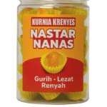 NASTAR NANAS KURNIA